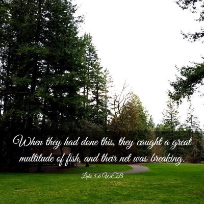 Picture 03 - Luke 5:6 WEB - When they had done this, they caught a great - Bible Verse Picture