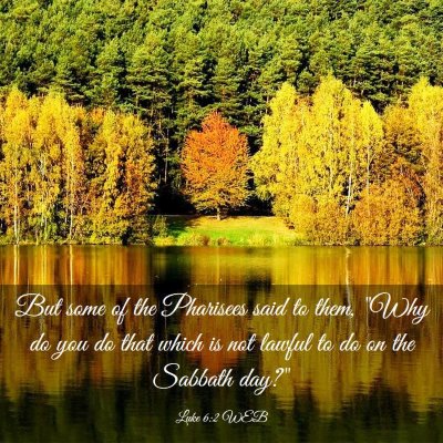 Picture 03 - Luke 6:2 WEB - But some of the Pharisees said to them, 