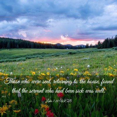 Picture 03 - Luke 7:10 WEB - Those who were sent, returning to the house, - Bible Verse Picture