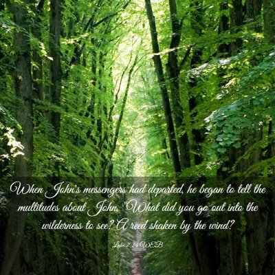 Picture 03 - Luke 7:24 WEB - When John's messengers had departed, he began to - Bible Verse Picture