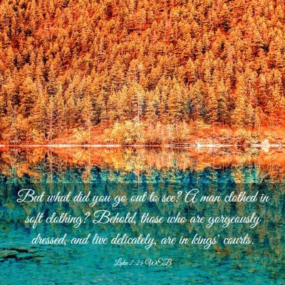 Picture 03 - Luke 7:25 WEB - But what did you go out to see? A man clothed in - Bible Verse Picture