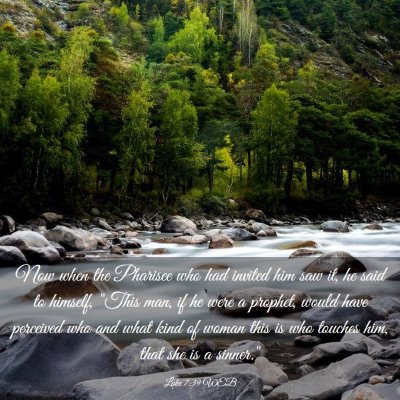 Picture 03 - Luke 7:39 WEB - Now when the Pharisee who had invited him saw it, - Bible Verse Picture