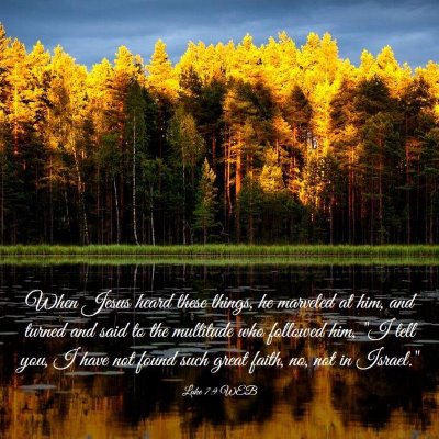 Picture 03 - Luke 7:9 WEB - When Jesus heard these things, he marveled at - Bible Verse Picture