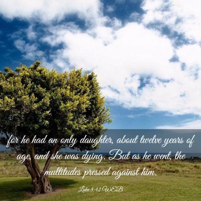 Picture 03 - Luke 8:42 WEB - for he had an only daughter, about twelve years - Bible Verse Picture