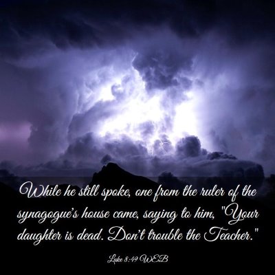 Picture 03 - Luke 8:49 WEB - While he still spoke, one from the ruler of the - Bible Verse Picture