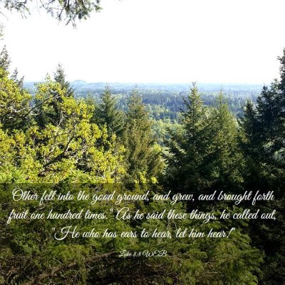 Picture 03 - Luke 8:8 WEB - Other fell into the good ground, and grew, and - Bible Verse Picture