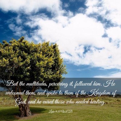 Picture 03 - Luke 9:11 WEB - But the multitudes, perceiving it, followed him. - Bible Verse Picture
