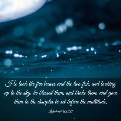 Picture 03 - Luke 9:16 WEB - He took the five loaves and the two fish, and - Bible Verse Picture