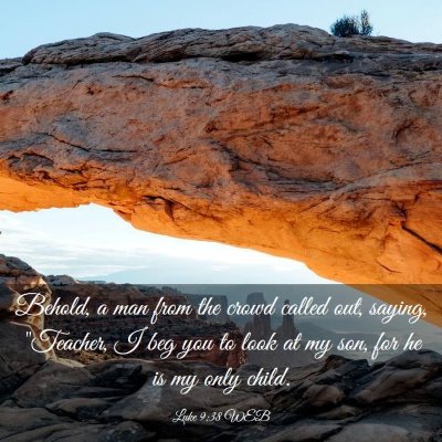 Picture 03 - Luke 9:38 WEB - Behold, a man from the crowd called out, saying, - Bible Verse Picture