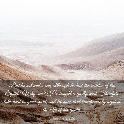 Picture 03 - Malachi 2:15 WEB - Did he not make one, although he had the residue - Bible Verse Picture