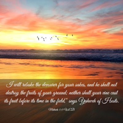 Picture 03 - Malachi 3:11 WEB - I will rebuke the devourer for your sakes, and he - Bible Verse Picture