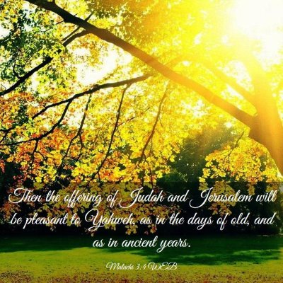 Picture 03 - Malachi 3:4 WEB - Then the offering of Judah and Jerusalem will be - Bible Verse Picture