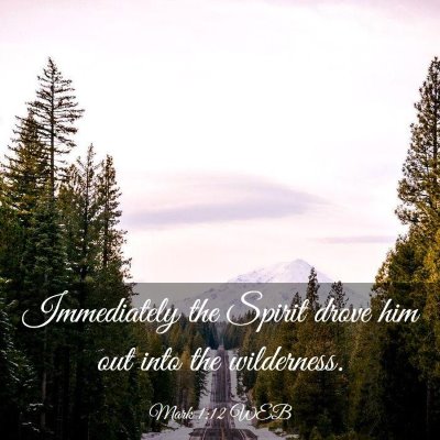 Picture 03 - Mark 1:12 WEB - Immediately the Spirit drove him out into the - Bible Verse Picture
