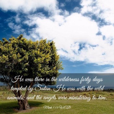 Picture 03 - Mark 1:13 WEB - He was there in the wilderness forty days tempted - Bible Verse Picture