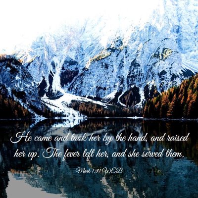 Picture 03 - Mark 1:31 WEB - He came and took her by the hand, and raised her - Bible Verse Picture