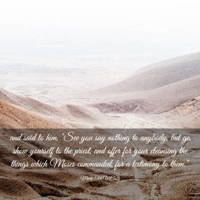 Picture 03 - Mark 1:44 WEB - and said to him, 