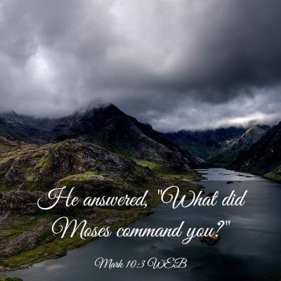 Picture 03 - Mark 10:3 WEB - He answered, 