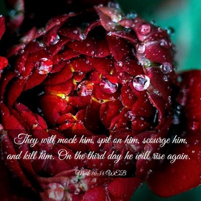 Picture 03 - Mark 10:34 WEB - They will mock him, spit on him, scourge him, and - Bible Verse Picture