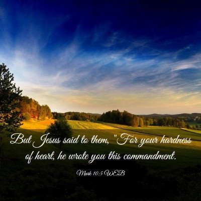Picture 03 - Mark 10:5 WEB - But Jesus said to them, 