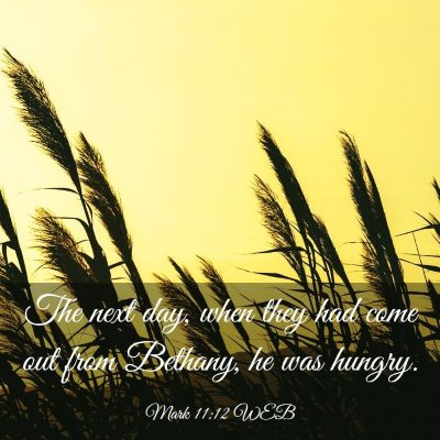 Picture 03 - Mark 11:12 WEB - The next day, when they had come out from - Bible Verse Picture