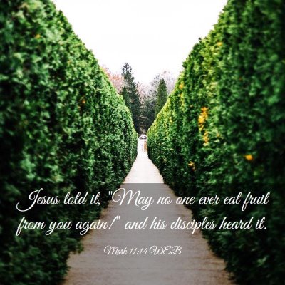 Picture 03 - Mark 11:14 WEB - Jesus told it, 
