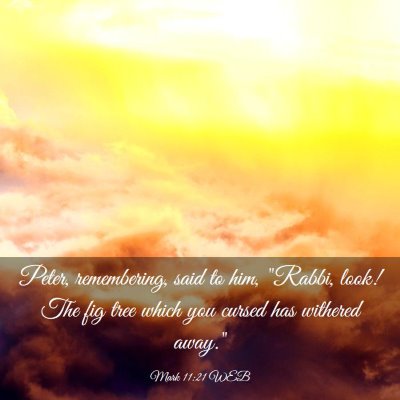 Picture 03 - Mark 11:21 WEB - Peter, remembering, said to him, 