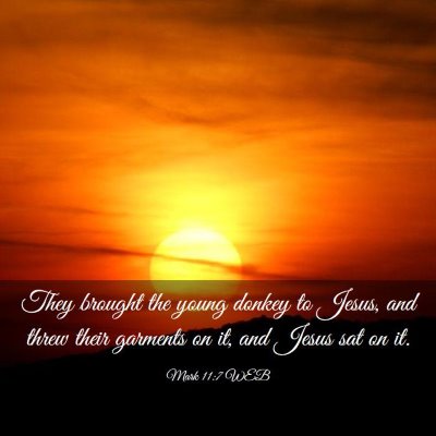 Picture 03 - Mark 11:7 WEB - They brought the young donkey to Jesus, and threw - Bible Verse Picture