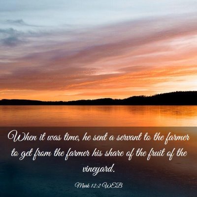 Picture 03 - Mark 12:2 WEB - When it was time, he sent a servant to the farmer - Bible Verse Picture