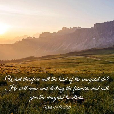 Picture 03 - Mark 12:9 WEB - What therefore will the lord of the vineyard do? - Bible Verse Picture