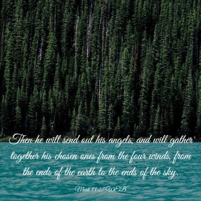 Picture 03 - Mark 13:27 WEB - Then he will send out his angels, and will gather - Bible Verse Picture