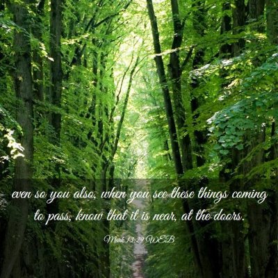 Picture 03 - Mark 13:29 WEB - even so you also, when you see these things - Bible Verse Picture