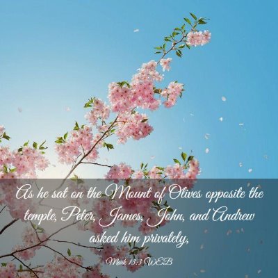 Picture 03 - Mark 13:3 WEB - As he sat on the Mount of Olives opposite the - Bible Verse Picture