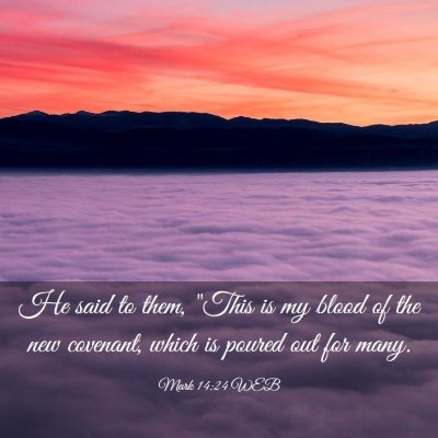 Picture 03 - Mark 14:24 WEB - He said to them, 