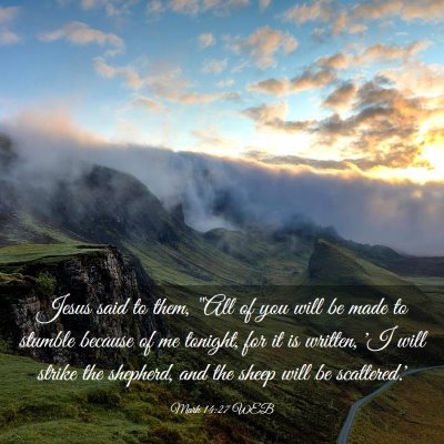 Picture 03 - Mark 14:27 WEB - Jesus said to them, 