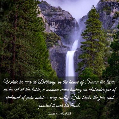 Picture 03 - Mark 14:3 WEB - While he was at Bethany, in the house of Simon - Bible Verse Picture
