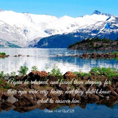 Picture 03 - Mark 14:40 WEB - Again he returned, and found them sleeping, for - Bible Verse Picture