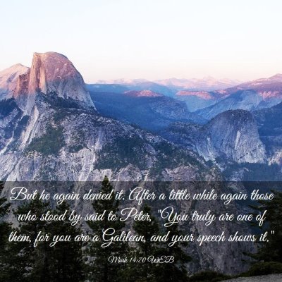 Picture 03 - Mark 14:70 WEB - But he again denied it. After a little while - Bible Verse Picture