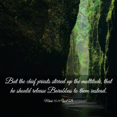 Picture 03 - Mark 15:11 WEB - But the chief priests stirred up the multitude, - Bible Verse Picture