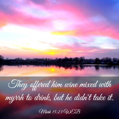 Picture 03 - Mark 15:23 WEB - They offered him wine mixed with myrrh to drink, - Bible Verse Picture