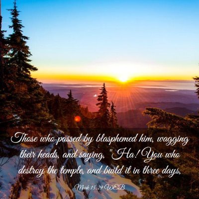 Picture 03 - Mark 15:29 WEB - Those who passed by blasphemed him, wagging their - Bible Verse Picture