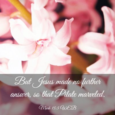 Picture 03 - Mark 15:5 WEB - But Jesus made no further answer, so that Pilate - Bible Verse Picture