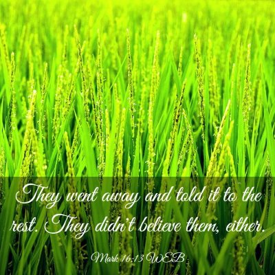 Picture 03 - Mark 16:13 WEB - They went away and told it to the rest. They - Bible Verse Picture