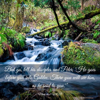 Picture 03 - Mark 16:7 WEB - But go, tell his disciples and Peter, 'He goes - Bible Verse Picture