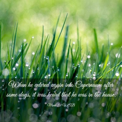Picture 03 - Mark 2:1 WEB - When he entered again into Capernaum after some - Bible Verse Picture