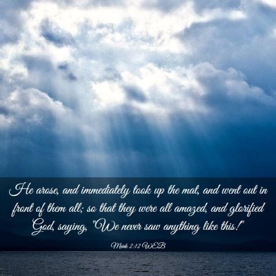 Picture 03 - Mark 2:12 WEB - He arose, and immediately took up the mat, and - Bible Verse Picture