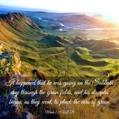 Picture 03 - Mark 2:23 WEB - It happened that he was going on the Sabbath day - Bible Verse Picture
