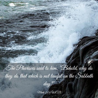 Picture 03 - Mark 2:24 WEB - The Pharisees said to him, 