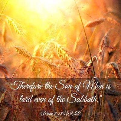 Picture 03 - Mark 2:28 WEB - Therefore the Son of Man is lord even of the - Bible Verse Picture