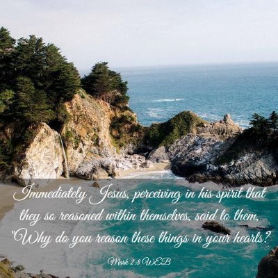 Picture 03 - Mark 2:8 WEB - Immediately Jesus, perceiving in his spirit that - Bible Verse Picture