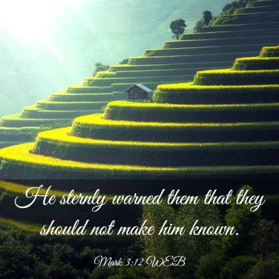 Picture 03 - Mark 3:12 WEB - He sternly warned them that they should not make - Bible Verse Picture